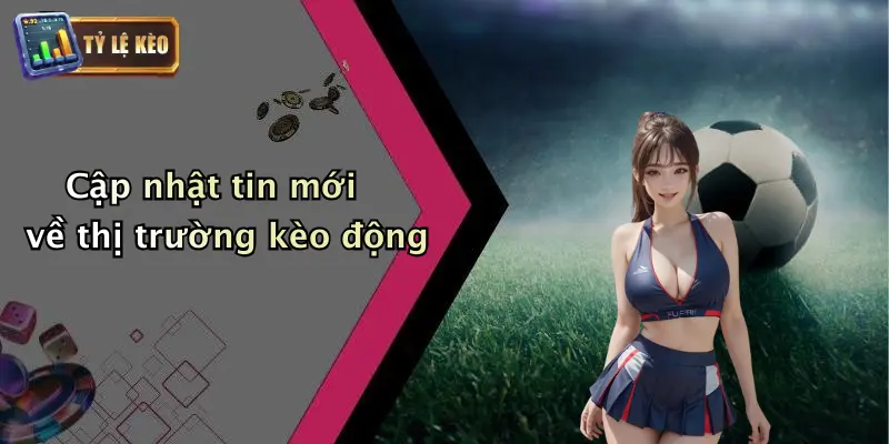 Cập nhật tin mới về thị trường kèo động