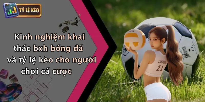Kinh nghiệm khai thác bxh bóng đá và tỷ lệ kèo cho người chơi cá cược