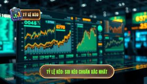 Cách đọc tỷ lệ kèo chuẩn xác cho người mới bắt đầu